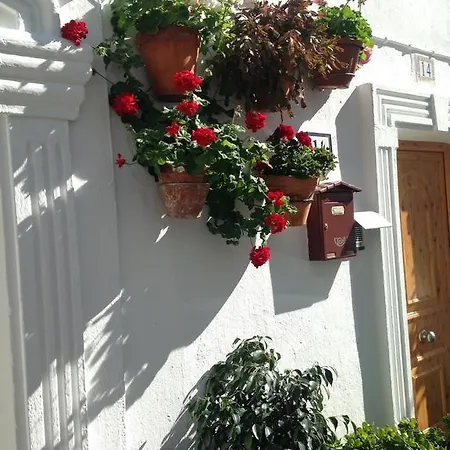 Guest house Boutique 