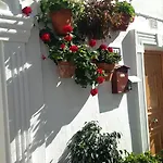 Πανσιόν Boutique 